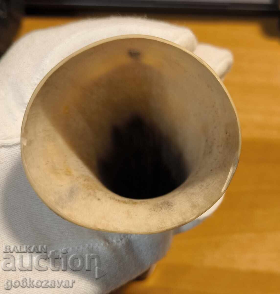 A big, beautiful horn! - 5 A big, beautiful horn! - 5