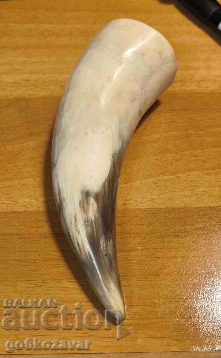 Голям прекрасен рог !