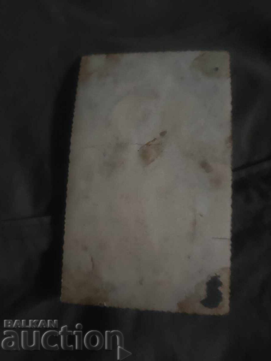 Lovech, câini, prind cu preț 100.00 BGN | € 51.13 Lovech, câini, prind cu preț 100.00 BGN | € 51.13