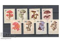 Mushrooms 1961 - serrated