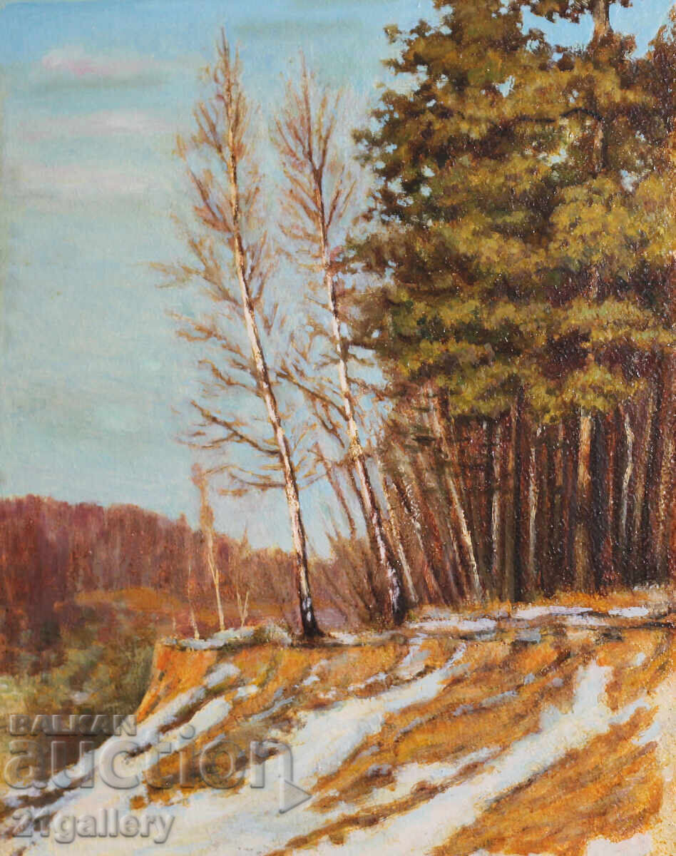 Forest landscape, oil paints with price 400.00 BGN | € 204.52 Forest landscape, oil paints with price 400.00 BGN | € 204.52