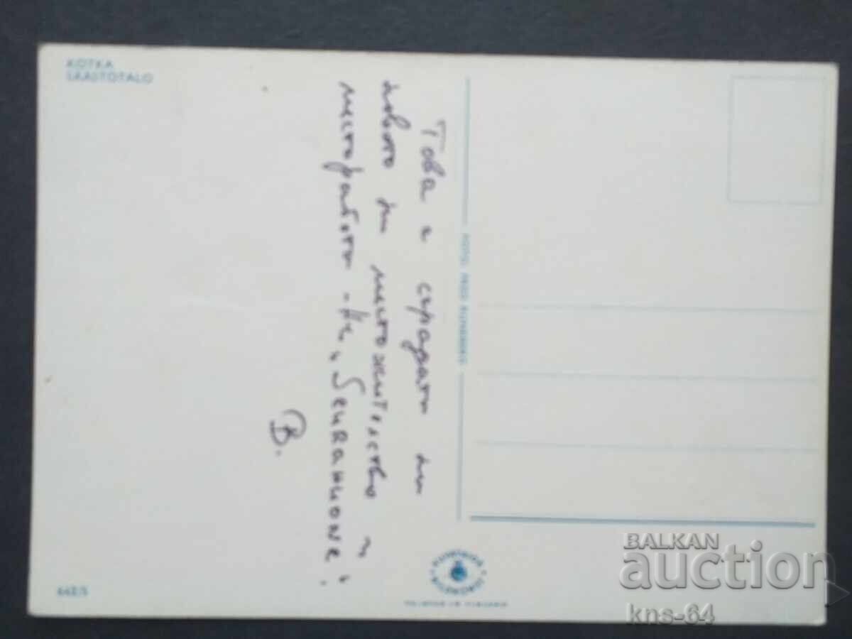 Bus Car Car with price 0.75 BGN | € 0.38 Bus Car Car with price 0.75 BGN | € 0.38