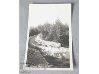 1943 Postcard photo Roman stairs Varshets Paskov