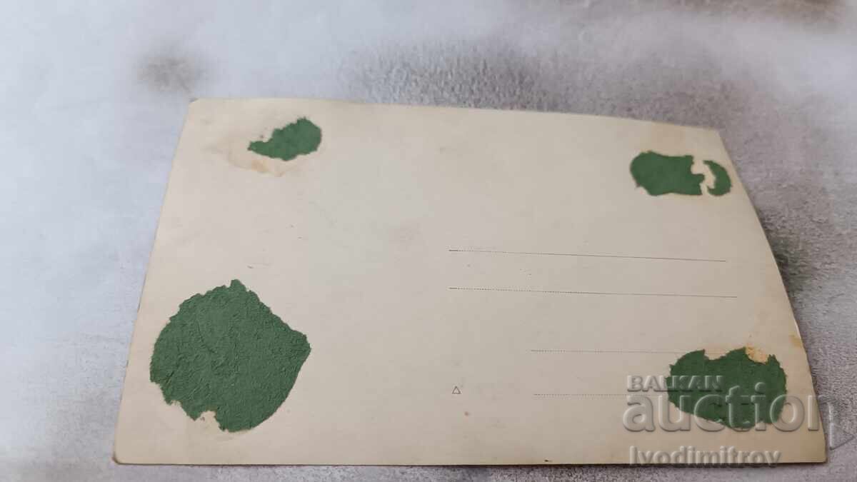 Φωτογραφία Άνδρες στο πάρκο με τιμή 2.35 BGN | € 1.20 Φωτογραφία Άνδρες στο πάρκο με τιμή 2.35 BGN | € 1.20