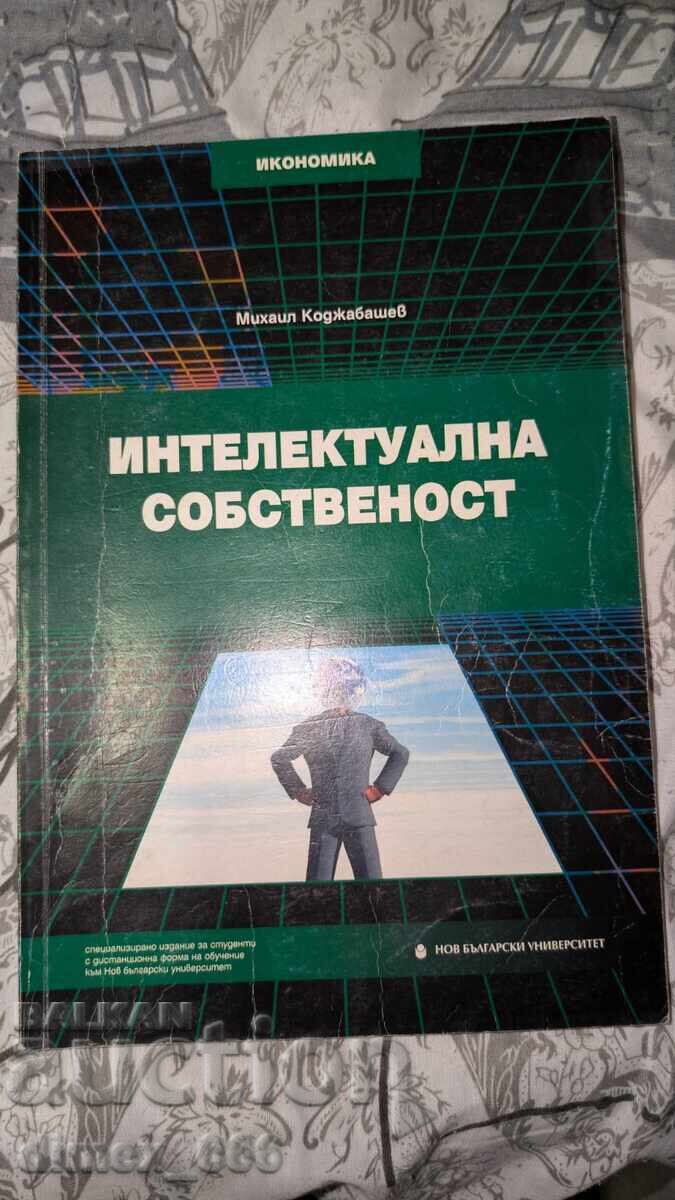 Intellectual Property Mikhail Kodjabashev