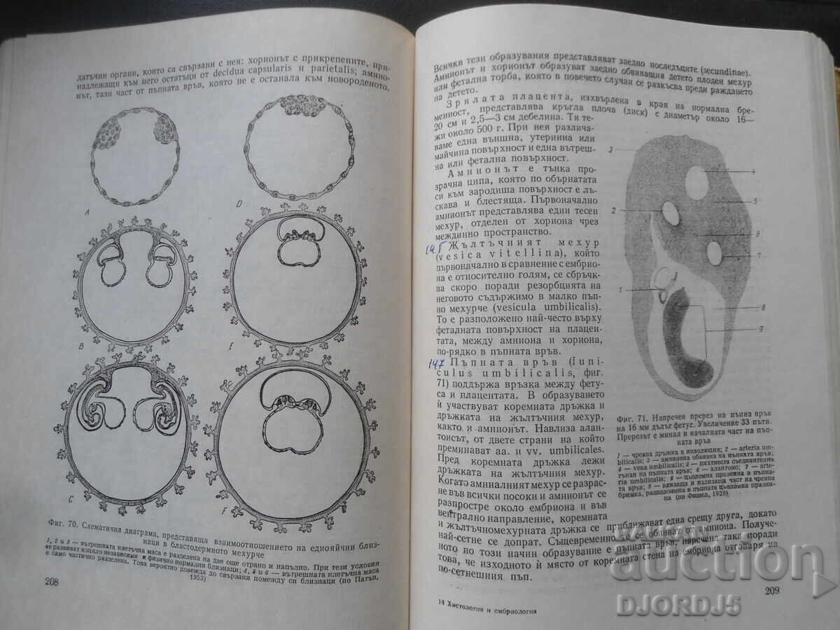 Histology and Embryology, A. I. Hadzhiolov - 6 Histology and Embryology, A. I. Hadzhiolov - 6