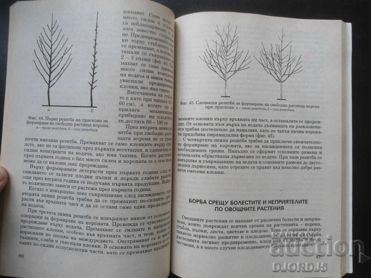 FRUIT GROWING AND BUSINESS - 5