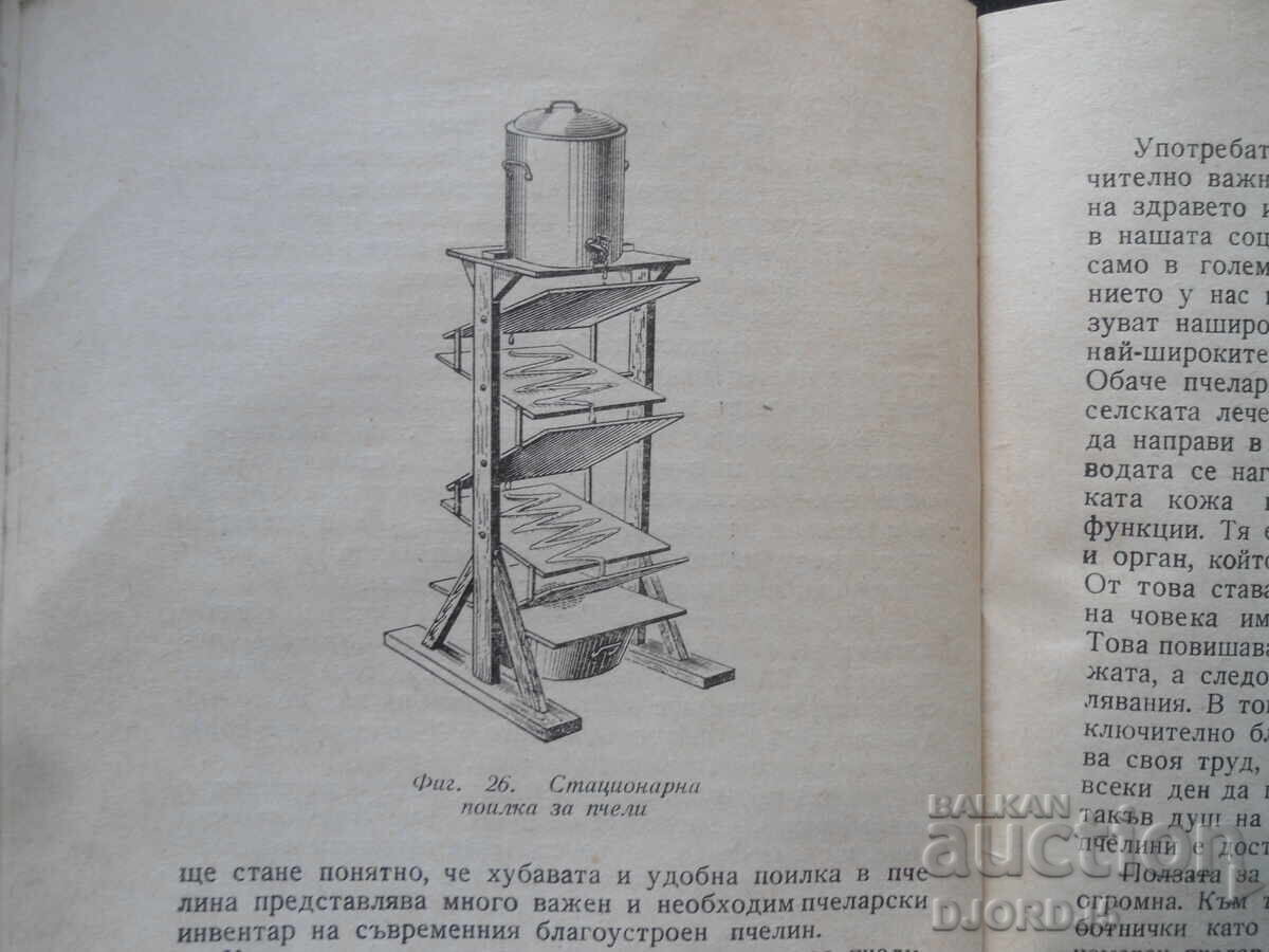 Δημοπρασία Μέλισσες - φτερωτοί φαρμακοποιοί, Ν. Γιουρέζικο