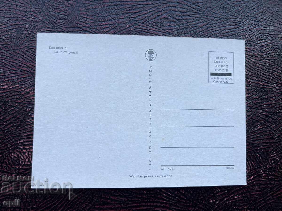 Καρτ ποστάλ - Πολωνία - Μεγάλος Δανός Αρλεκίνος με τιμή 0.60 BGN | € 0.31 Καρτ ποστάλ - Πολωνία - Μεγάλος Δανός Αρλεκίνος με τιμή 0.60 BGN | € 0.31