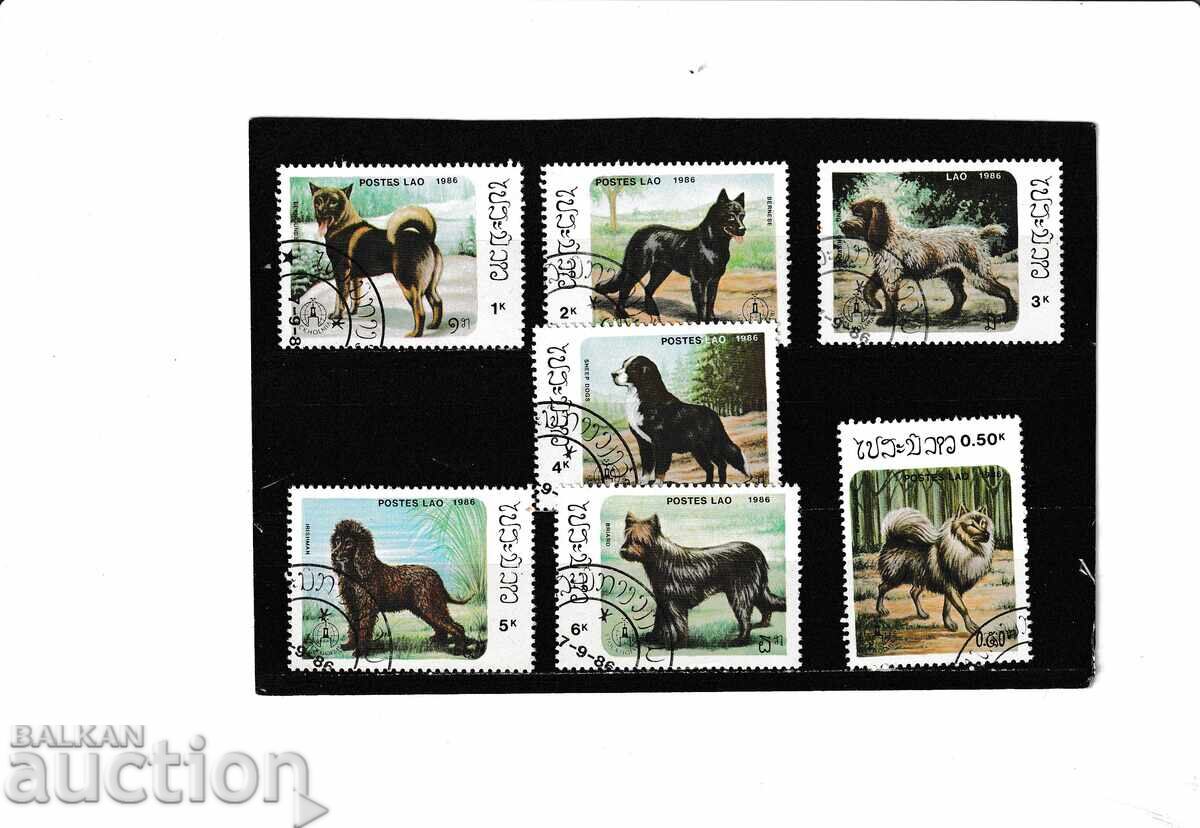 Лаос - Кучета - 7 мар.унищ.