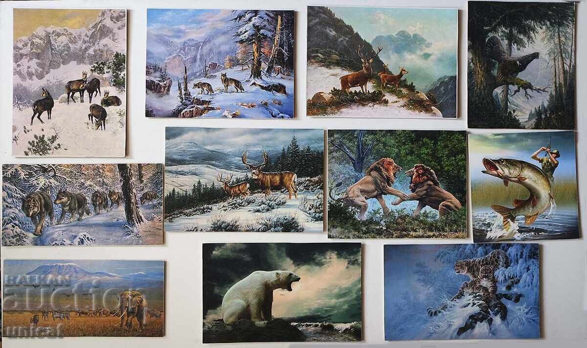 Wild animal paintings Wild animal paintings