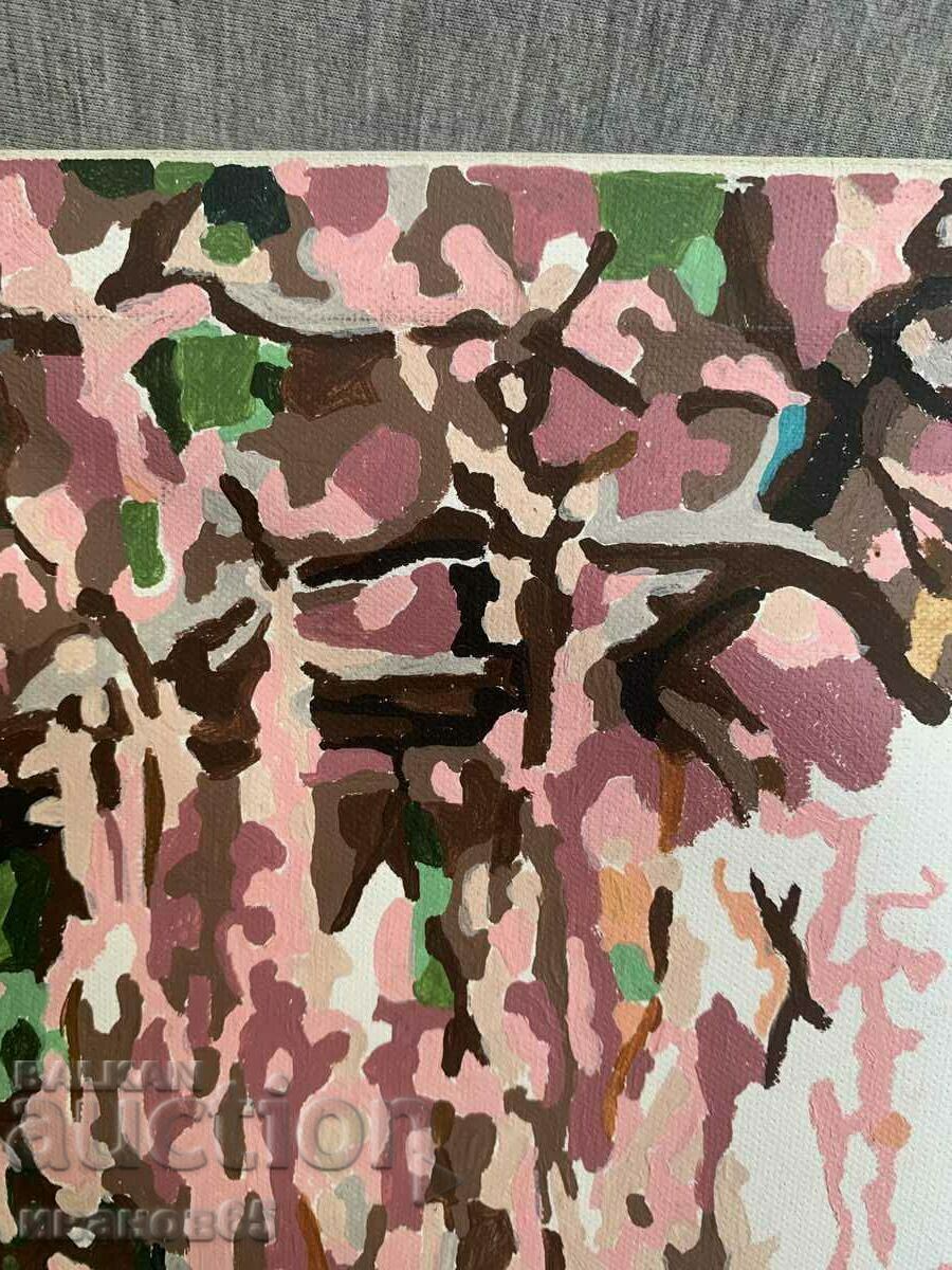 imagine peisaj marin - 6