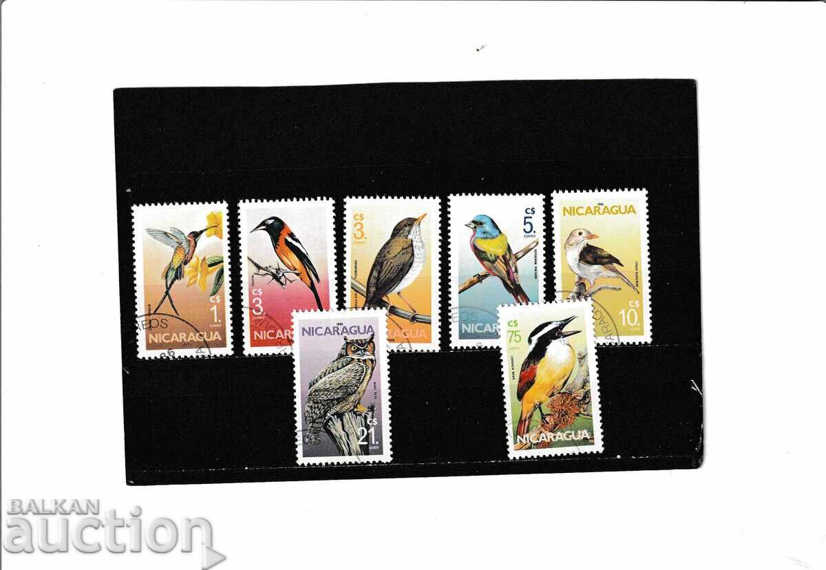 Nicaragua - 7 brands destroyed. Nicaragua - 7 brands destroyed.