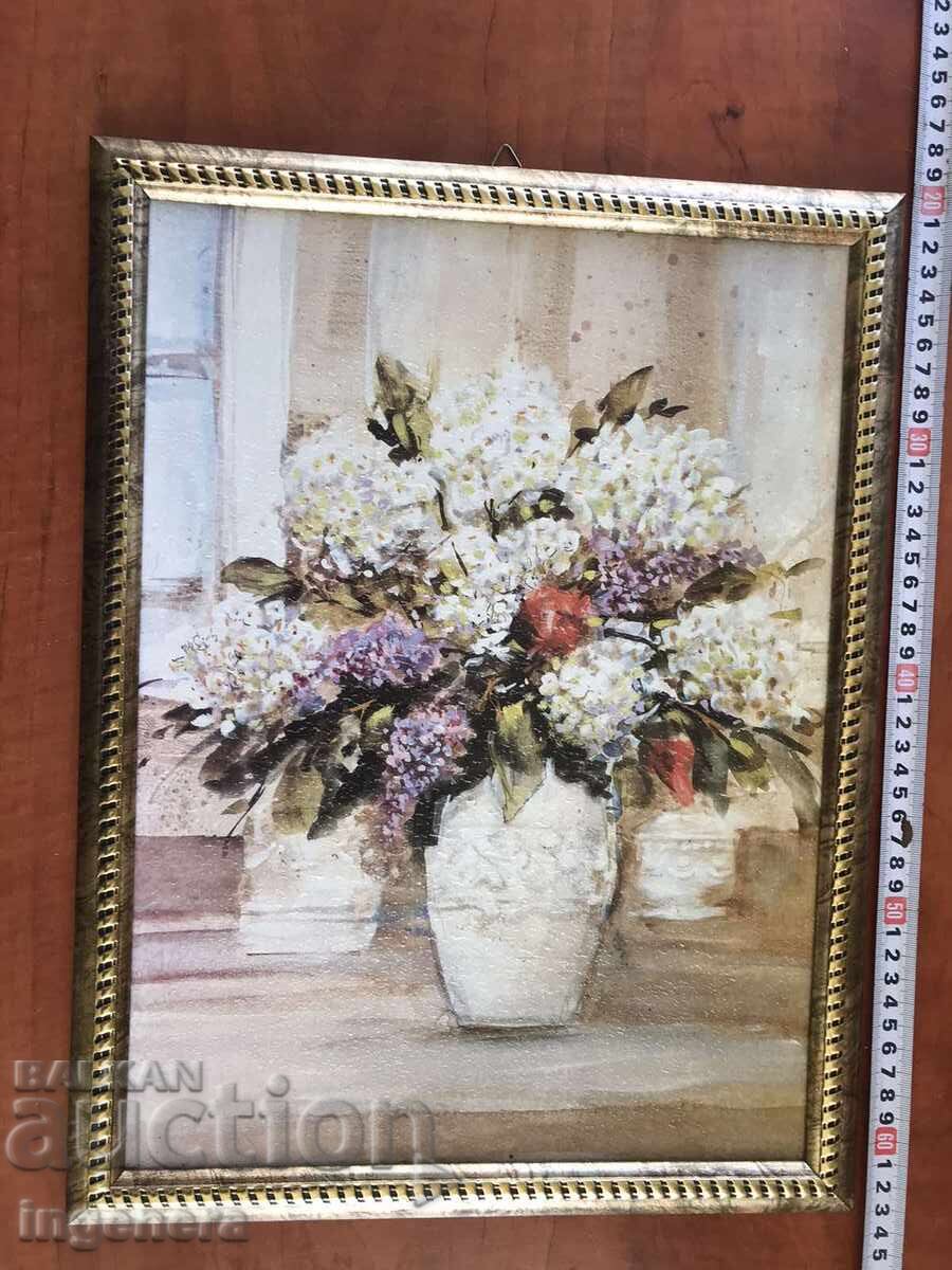 IMAGINE - 5 IMAGINE - 5