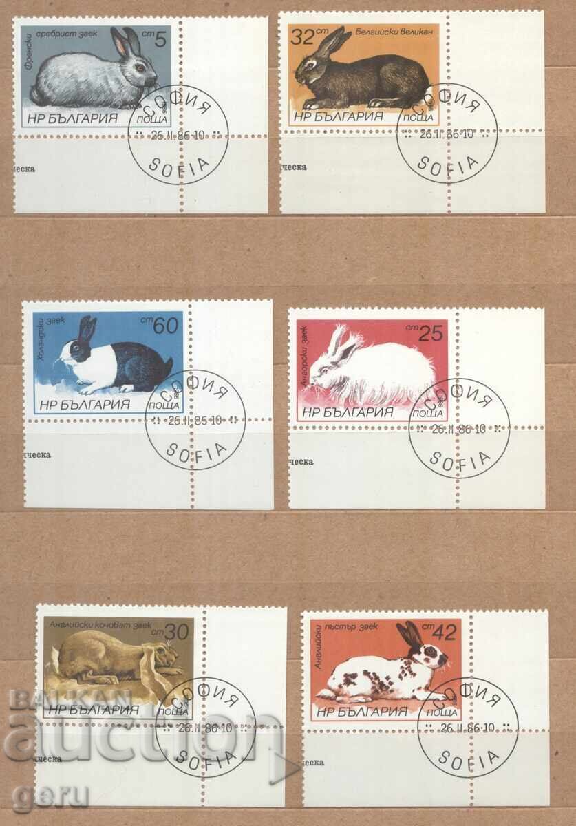 BULGARIA 1986 3488/93 tipar 482 14