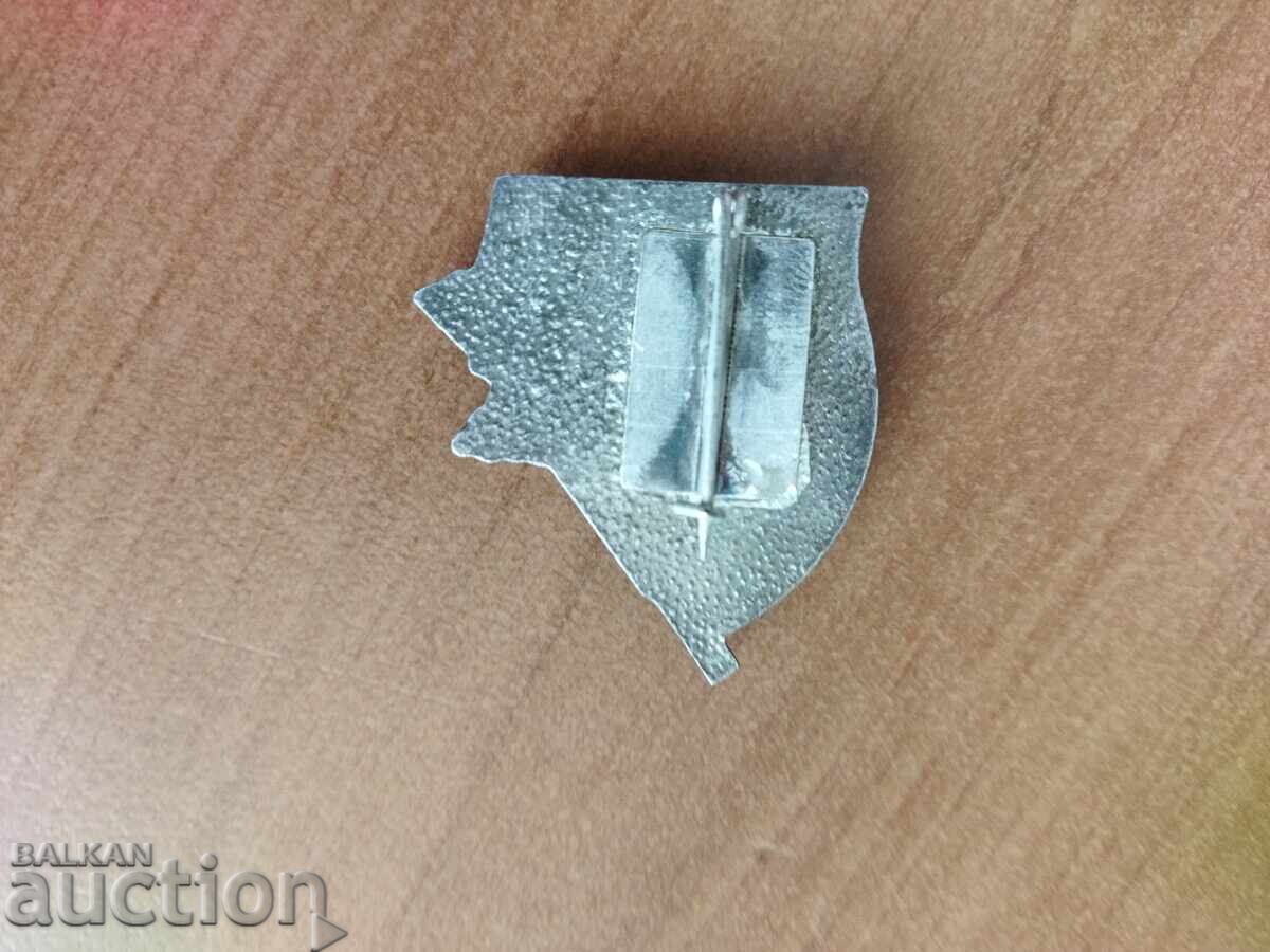 Licitație BPFK Comandă Luptători împotriva fascismului și capitalismului, insigna N.Znak