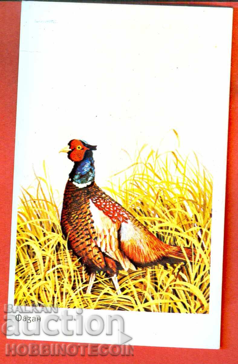 CALENDAR - PASARE - FAAN - 1984