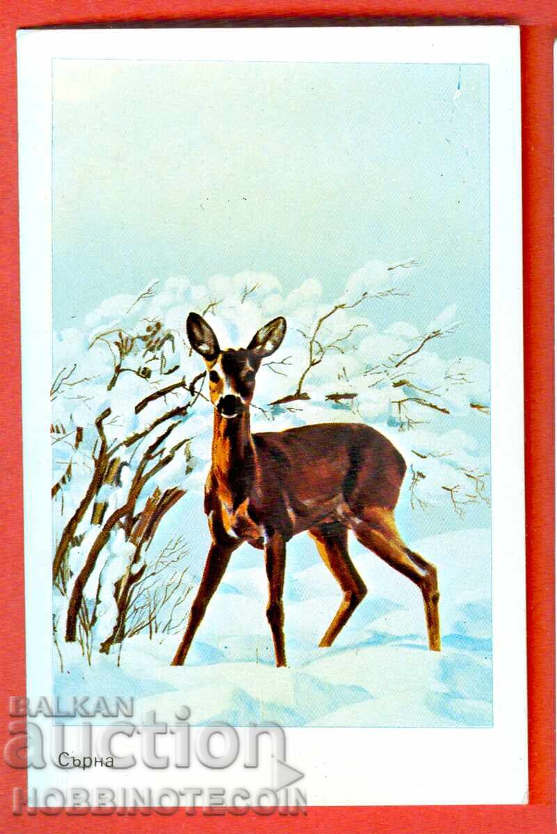 CALENDAR - CPRIV - 1984 CALENDAR - CPRIV - 1984