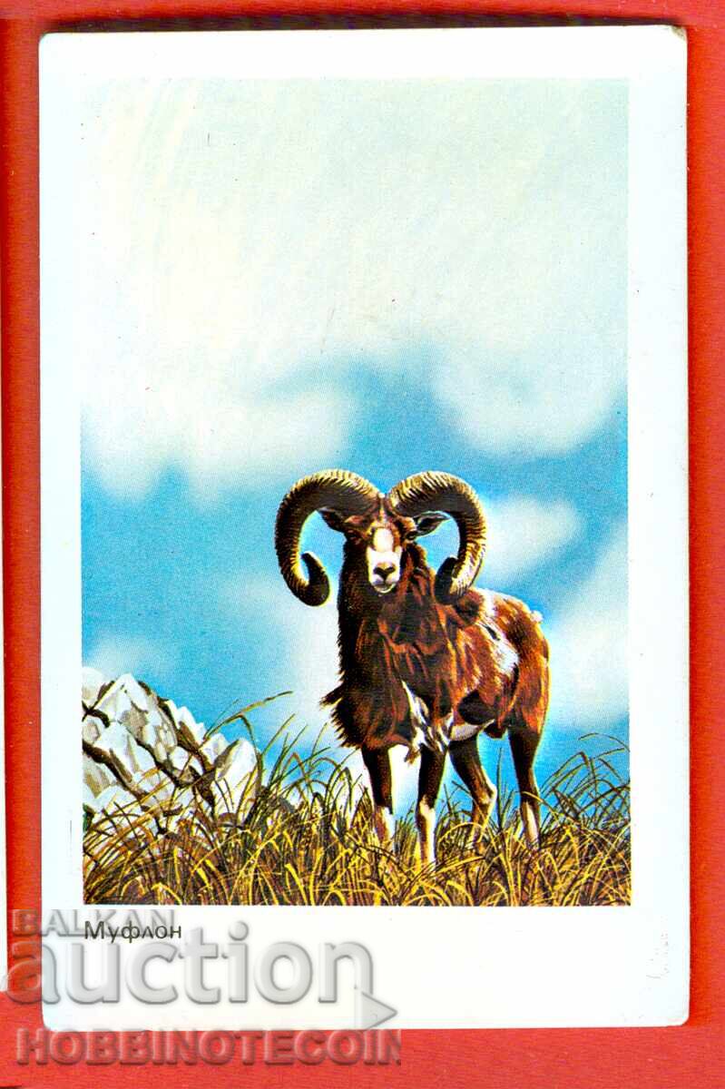 ΗΜΕΡΟΛΟΓΙΟ - ΜΟΥΦΛΟΝ - 1984 ΗΜΕΡΟΛΟΓΙΟ - ΜΟΥΦΛΟΝ - 1984