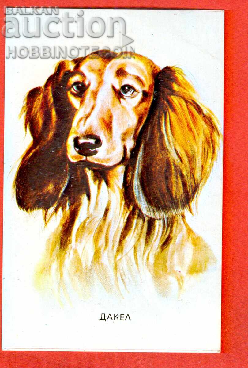 CALENDAR - CÂINE - TECKEL - 1984