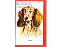 CALENDAR - DOG - DACHSHUND - 1984