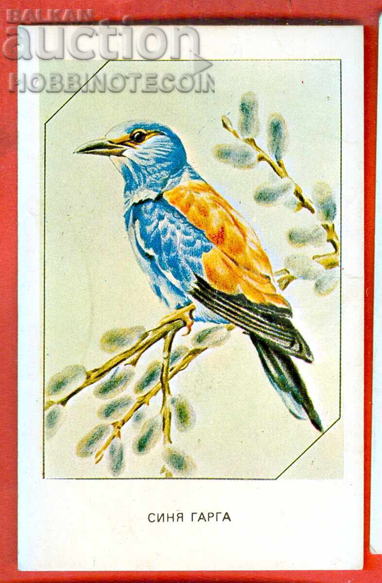 ΗΜΕΡΟΛΟΓΙΟ - ΠΟΥΛΙ - ΜΠΛΕ ΚΟΡΑΚΙ - 1983 ΗΜΕΡΟΛΟΓΙΟ - ΠΟΥΛΙ - ΜΠΛΕ ΚΟΡΑΚΙ - 1983