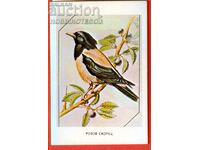 CALENDAR - BIRD - PINK STARLING - 1983