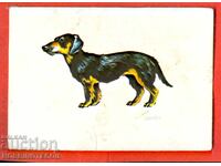 CALENDAR - DOG - DACHSHUND - 1983