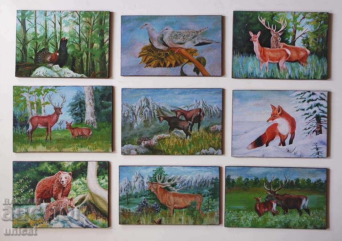 Hunting pictures Hunting pictures