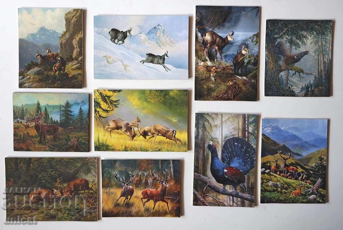 Paintings with deer, chamois and capercaillie - for hunters Paintings with deer, chamois and capercaillie - for hunters