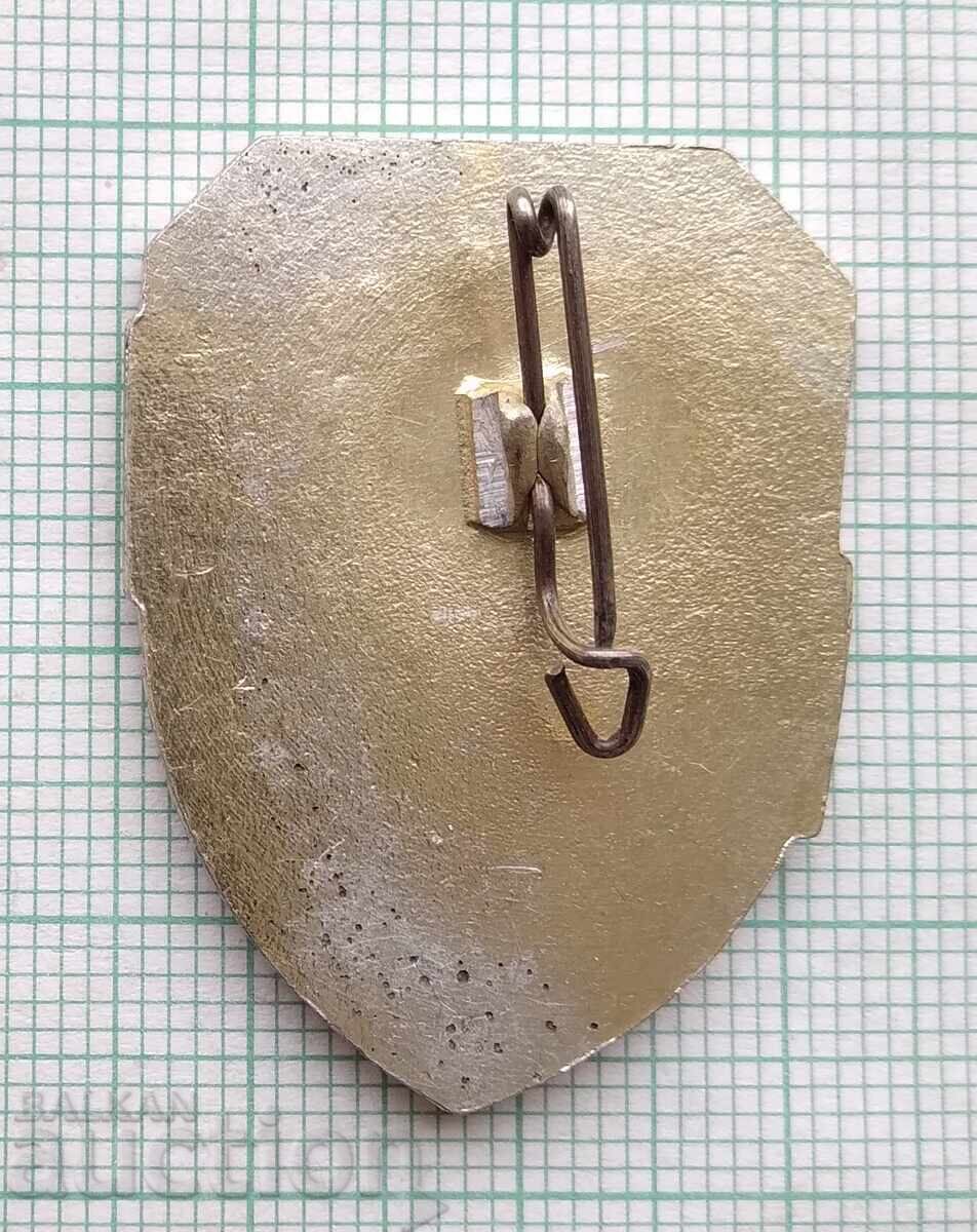 Auction  18328 Badge - Distinguished Serviceman