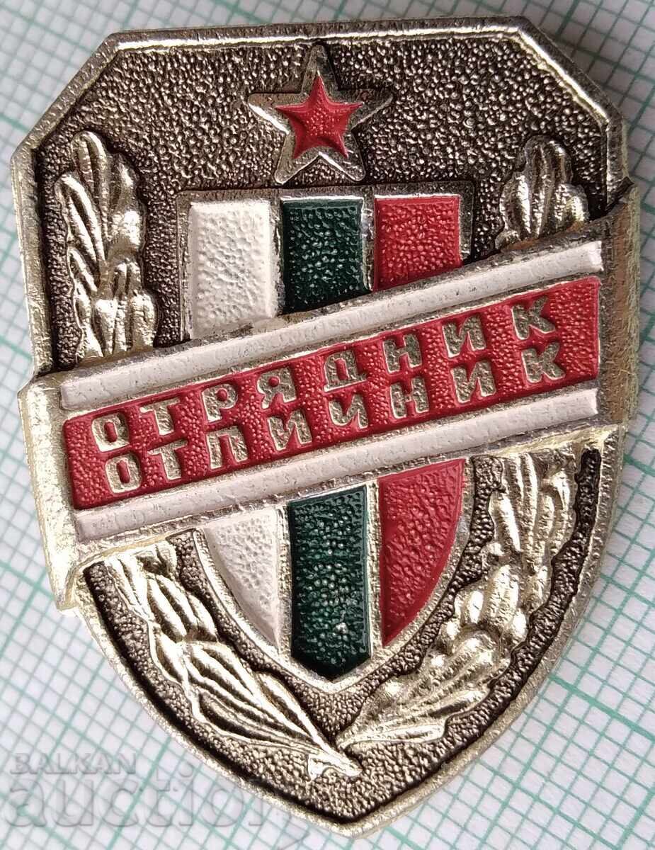 18328 Badge - Distinguished Serviceman