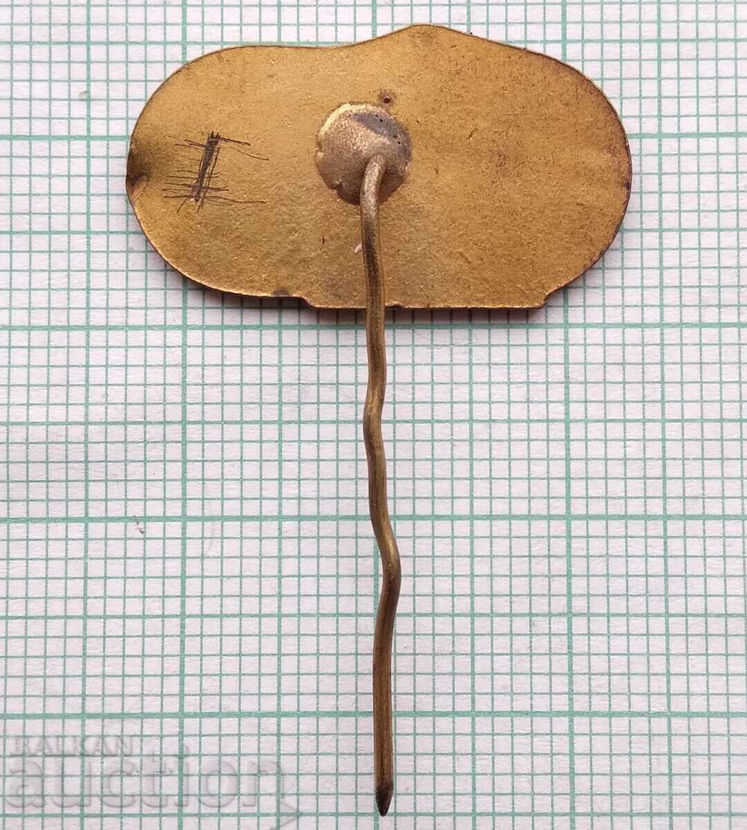 Auction 18329 Badge - 25th District Spartakiad Pleven 1969 Auction 18329 Badge - 25th District Spartakiad Pleven 1969