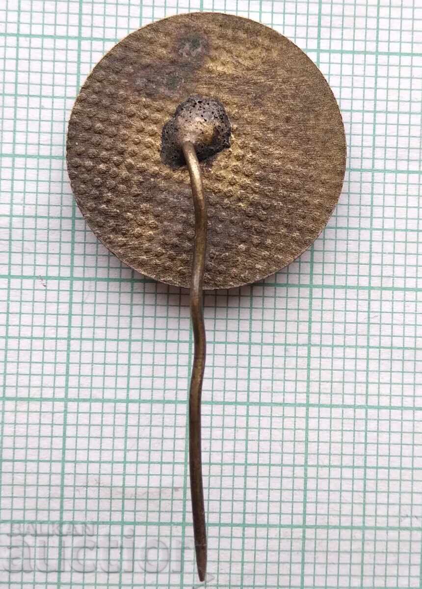 Auction 18333 Badge 100 years Veliko Tarnovo Regional Historical Museum Auction 18333 Badge 100 years Veliko Tarnovo Regional Historical Museum