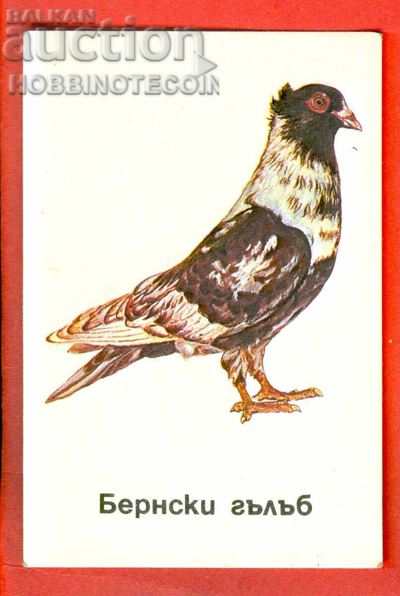 CALENDAR - PIGEON - BERNSTEIN PIGEON - 1991