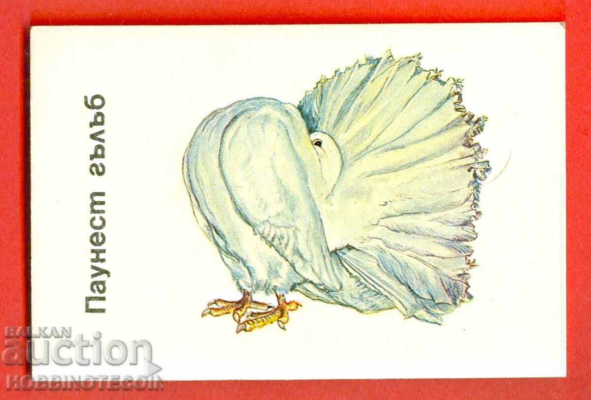 CALENDAR - DOVE - PAUNEST DOVE - 1991 CALENDAR - DOVE - PAUNEST DOVE - 1991