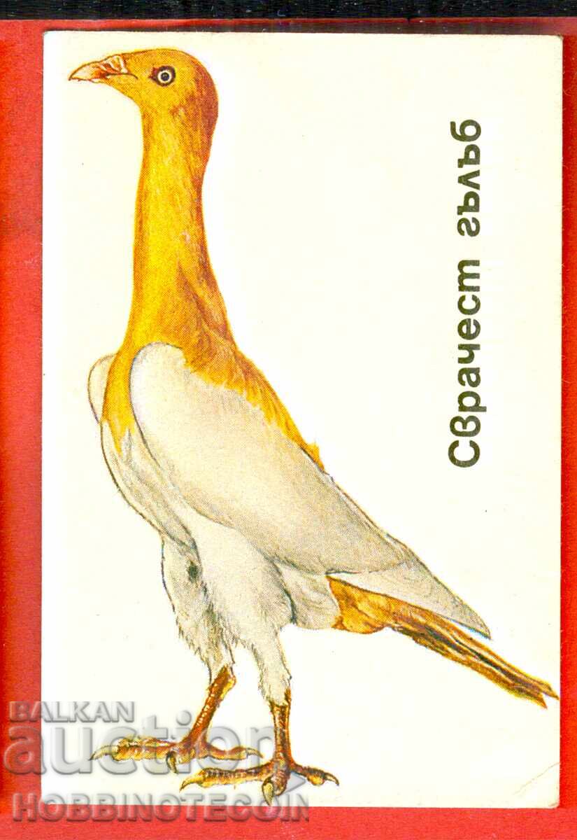 CALENDAR - DOVE - HOLY DOVE - 1991