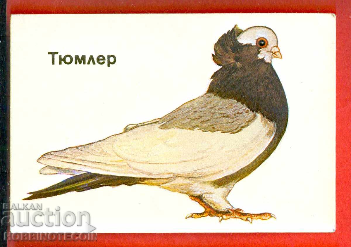 CALENDAR - PORUMBĂ - TUMMLER - 1991