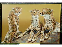 Ghepardi Anderson, pictură în ulei originală 153 x 103 cm.