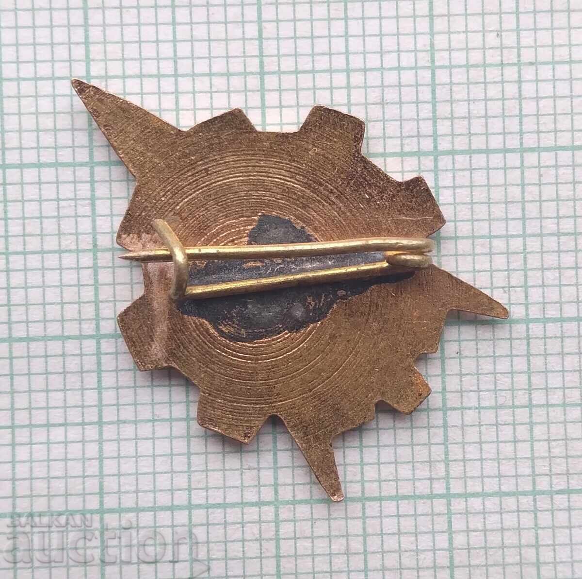 Auction 18341 Badge - Young Technician - bronze enamel Auction 18341 Badge - Young Technician - bronze enamel