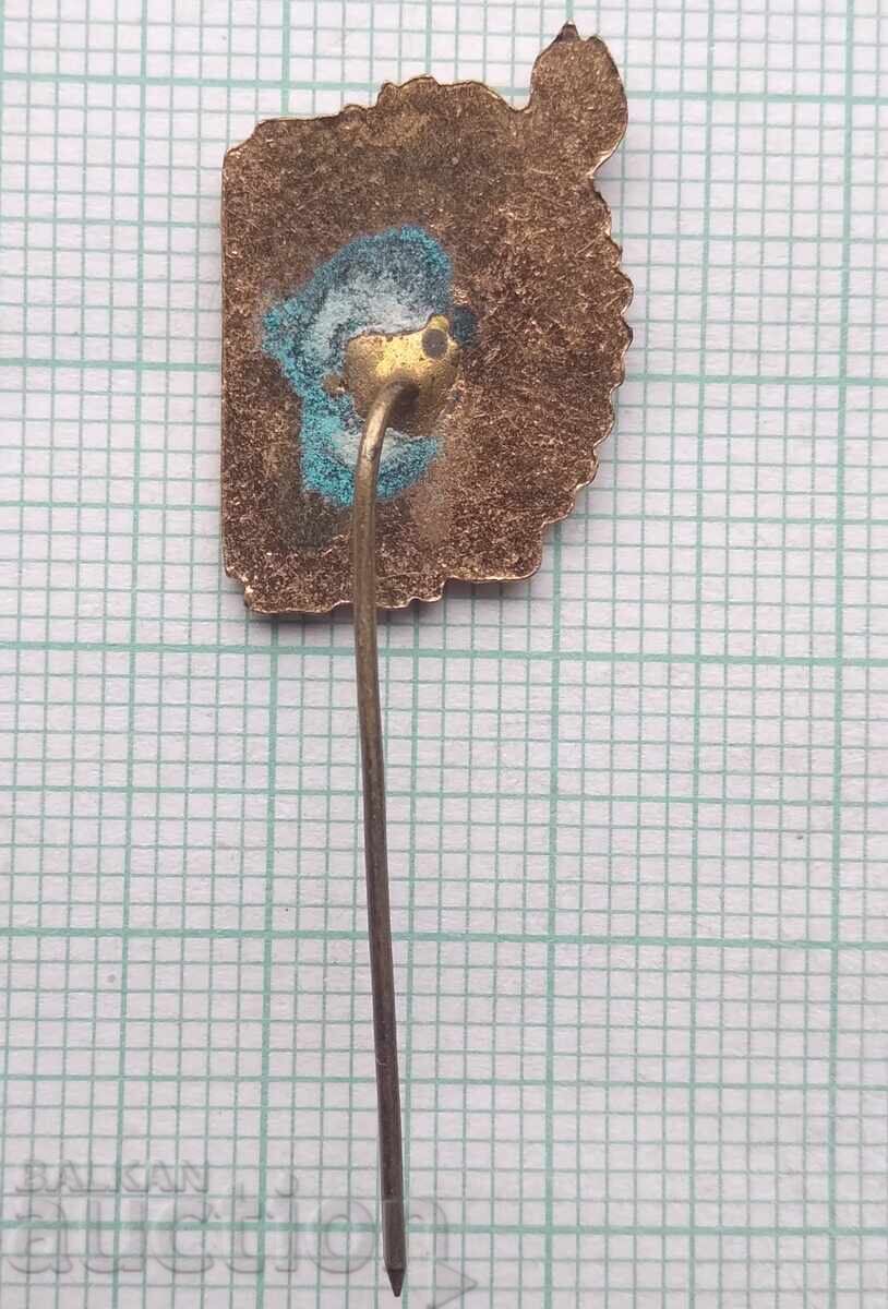 Auction  18342 Badge - 100 years of folk community centers - bronze enamel