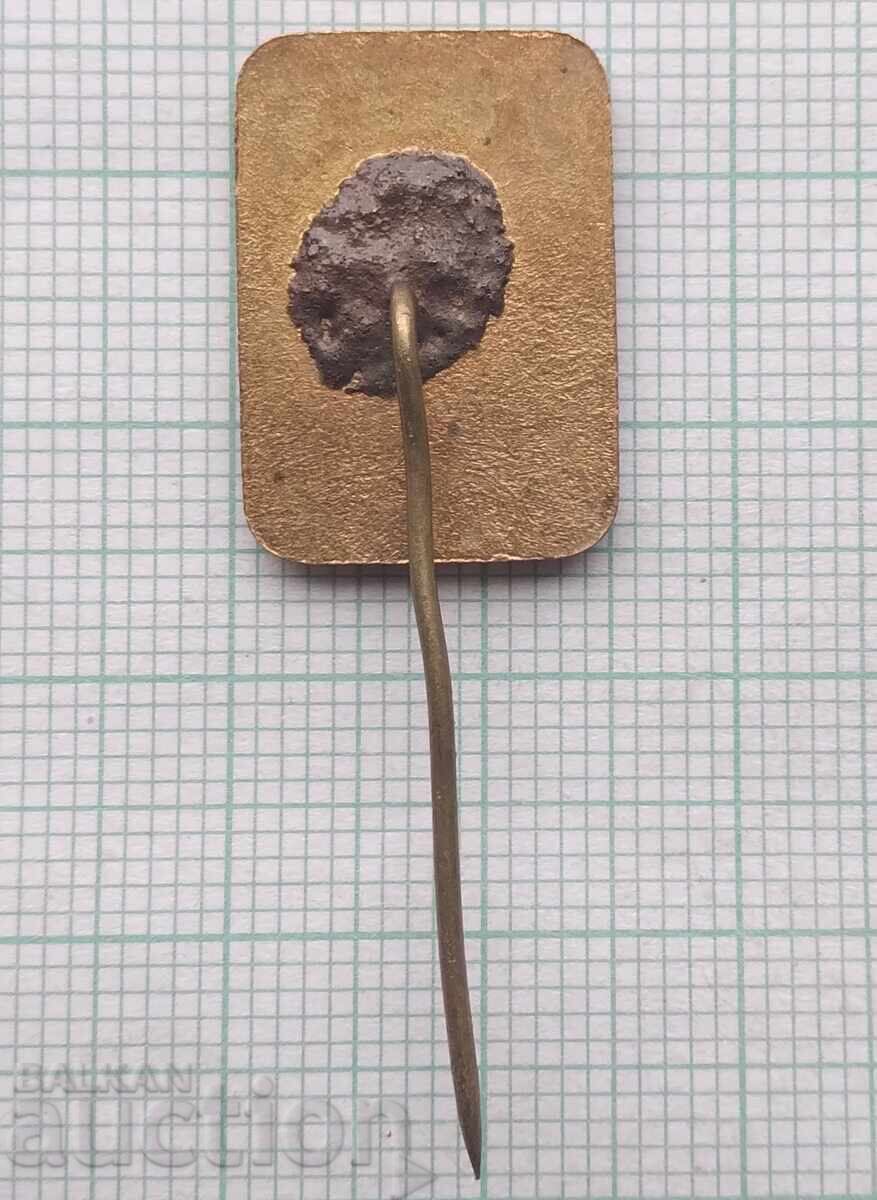 Auction  18344 Badge - Museum of the Revolutionary Movement in Bulgaria