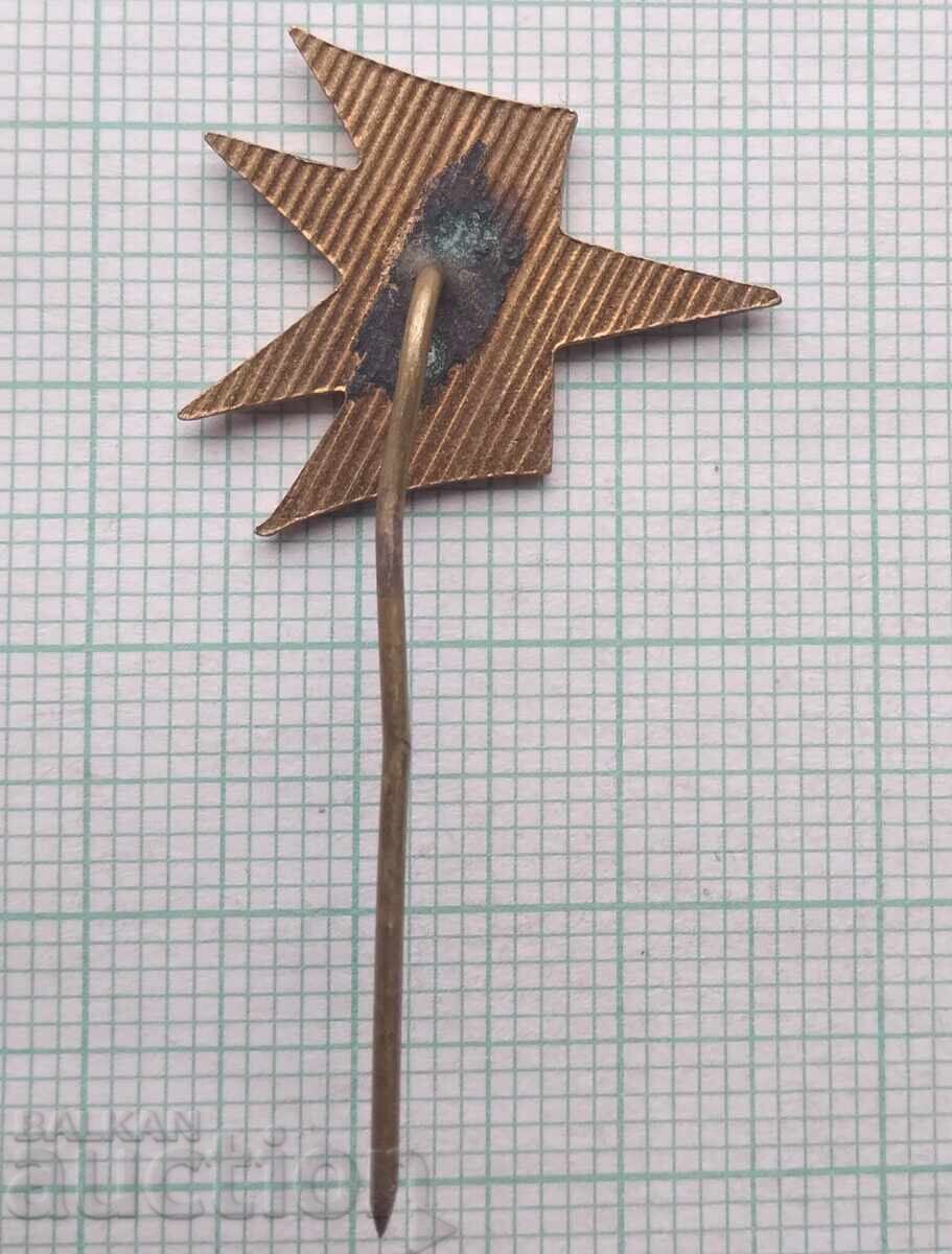 Auction 18350 Badge - BGA Balkan airline - bronze enamel Auction 18350 Badge - BGA Balkan airline - bronze enamel