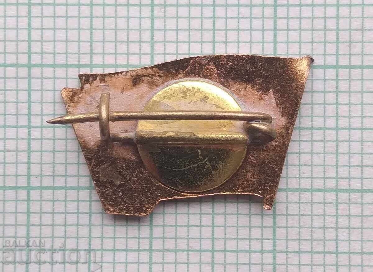 Auction 18356 Badge - Detachment - bronze enamel Auction 18356 Badge - Detachment - bronze enamel