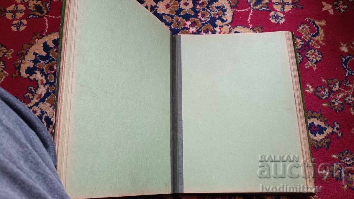 Δημοπρασία Vintage φωτογραφικό άλμπουμ Δημοπρασία Vintage φωτογραφικό άλμπουμ