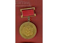 PLAQUET ORDER MEDAL BADGE LEADER IN AGRICULTURE