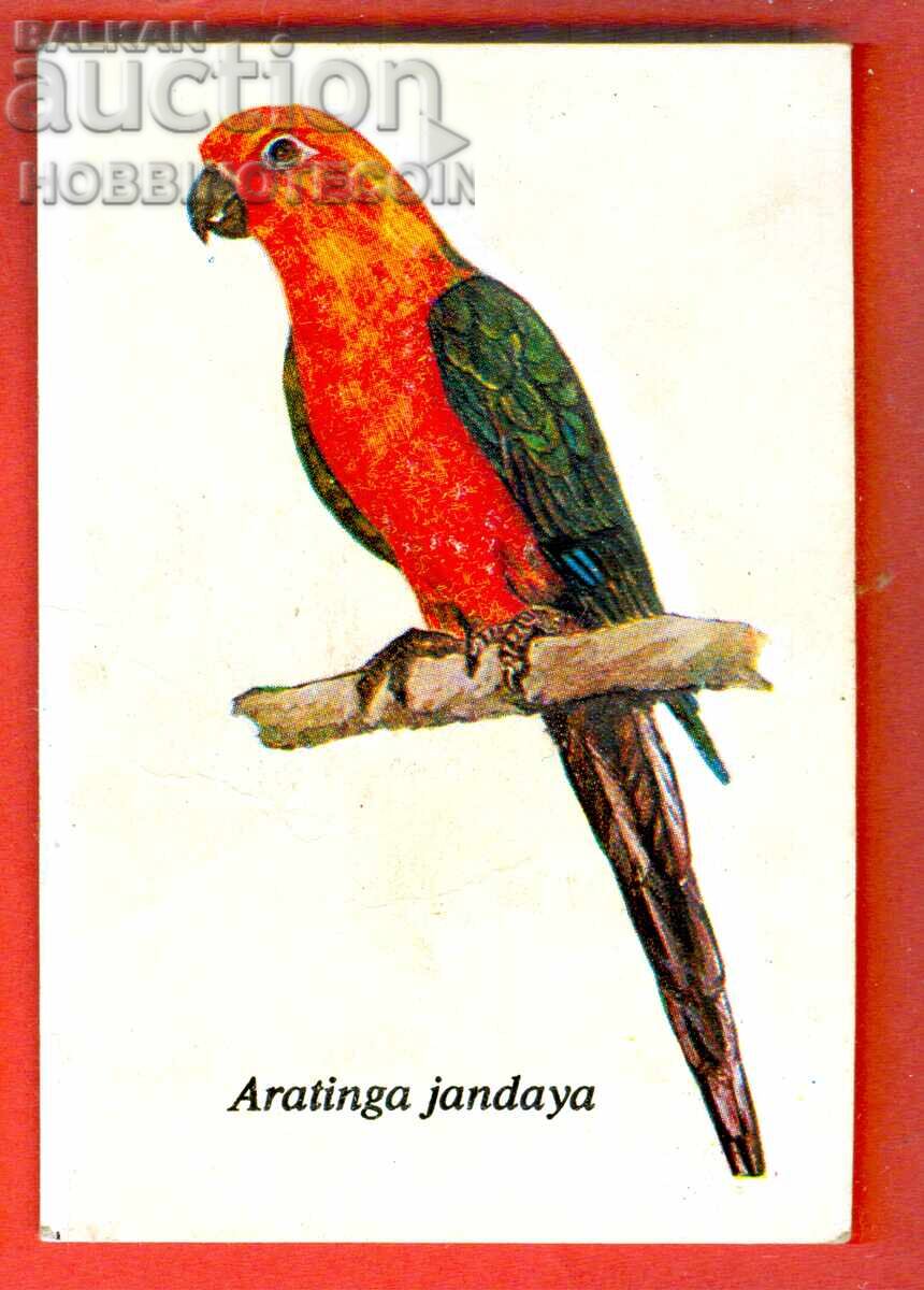CALENDAR - PARROT - ARATINGA JANDAYA - 1989 CALENDAR - PARROT - ARATINGA JANDAYA - 1989