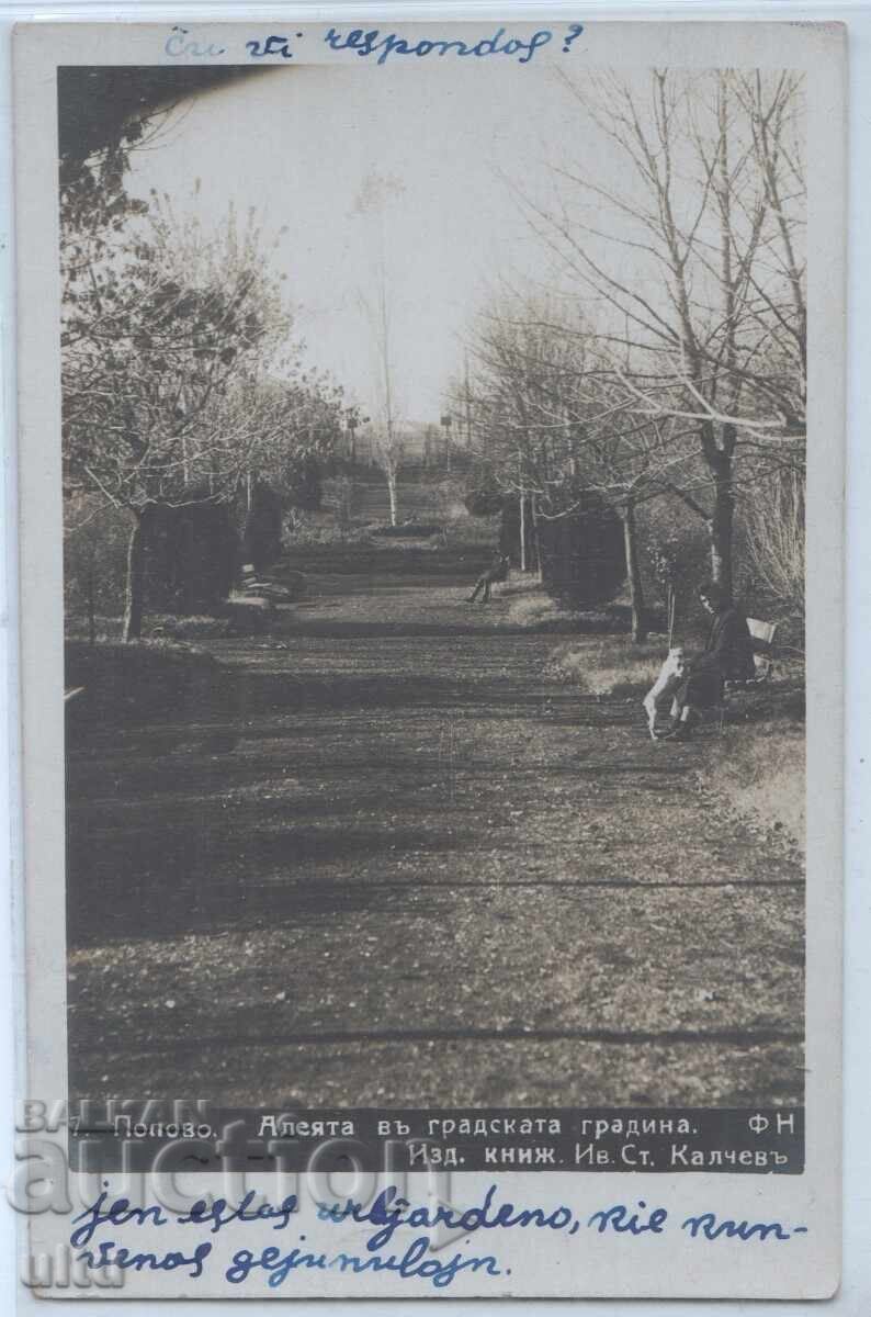 Bulgaria, Alley in the City Garden, RPPC, traveled Bulgaria, Alley in the City Garden, RPPC, traveled