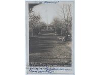 Bulgaria, Alley in the City Garden, RPPC, a călătorit