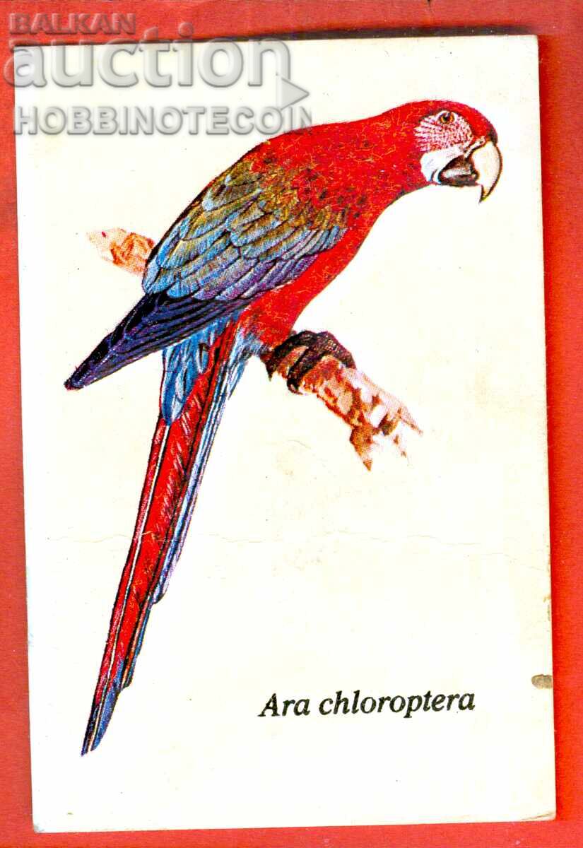 CALENDAR - PARROT - ARA CHLOROPTERA - 1989 CALENDAR - PARROT - ARA CHLOROPTERA - 1989